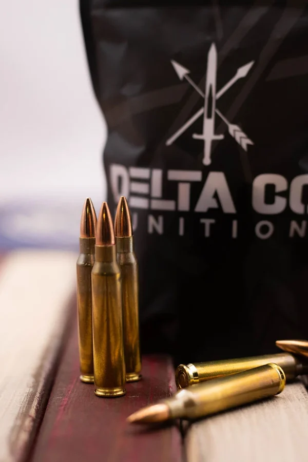 5.56 55gr 30 CT