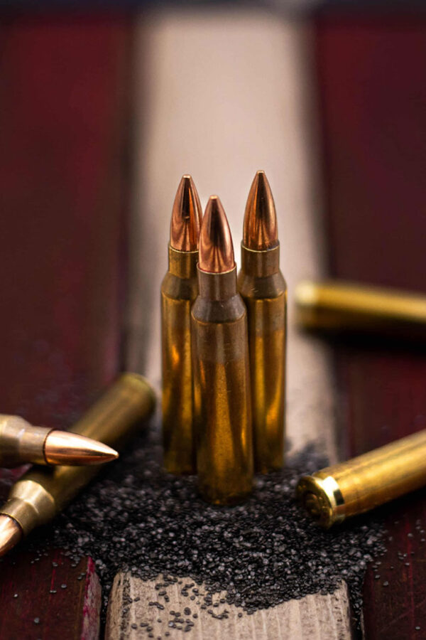 .223 5.56 Delta Bullets