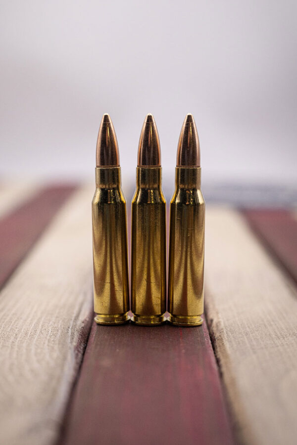 .308 Rifle Round